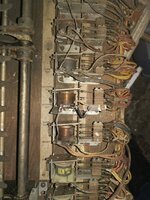 IMG_20191006_115152.jpg