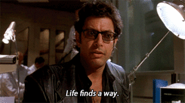 61486F2C-B48A-41B5-BD8A-872831D27643.gif