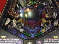 IMG_7145.JPG