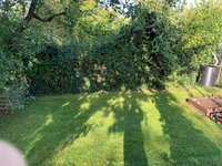 IMG_1826.jpg