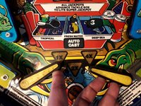 flippers2.jpg