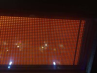 IMG_4277.JPG