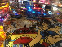 IMG_9313.jpg